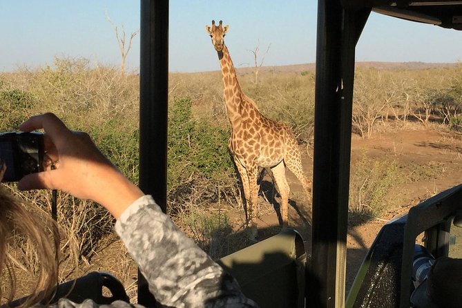 3-Day Kruger National Park Open Vehicle Safari - Day 2 open-vehicle drives with flexible timing that helps you catch the right moments