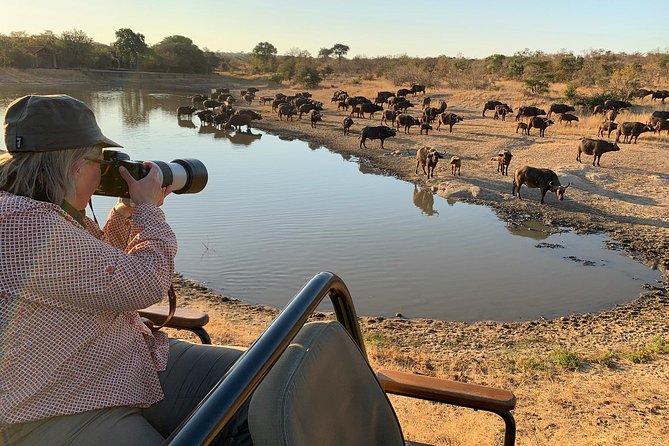 3-Day Kruger National Park Open Vehicle Safari - Price and value: what $770.68 includes, and why it feels fair