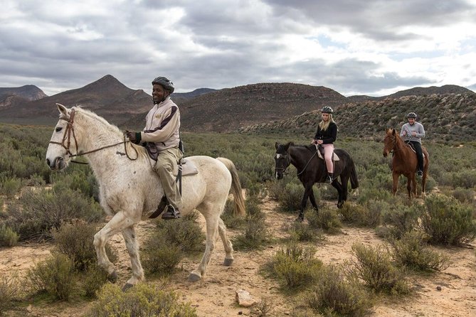 3 Day Luxury Aquila Private Game Reserve - Day 2: Morning Game Drive, Breakfast, Then Spa Time