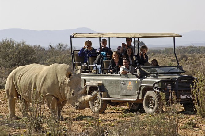 3 Day Luxury Aquila Private Game Reserve - Aquila Lodge Living: Luxury That Feels Practical