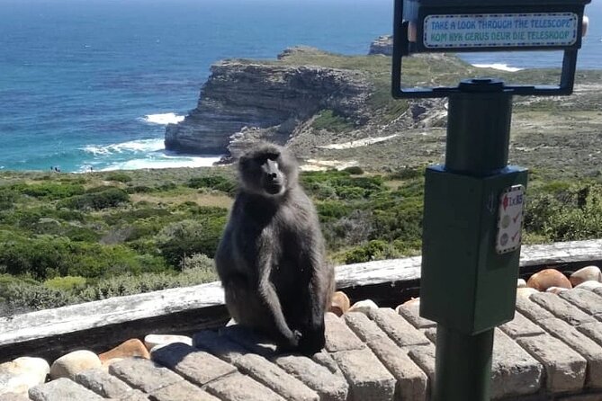 3 Day Private Full Day Cape Town Tour Includes Entries,Peninsula,Wine,City Tour, - Price and logistics: what $455.69 per person buys you