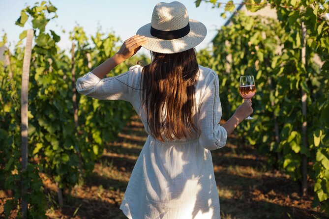 3-Day Private Guided Tour to Cape Town Top Attractions - Day 2: Cape Winelands tastings at Spier, Delaire Graff, and Tokara