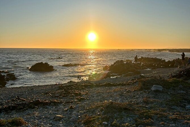 3 Day Safari and Coastal Tour from Cape Town - Garden Route Game Lodge: chalets, open-air safari drives, and real guiding