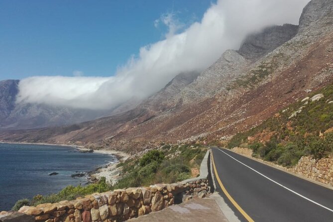 3 Day Safari and Coastal Tour from Cape Town - Betty’s Bay penguins: a short stop with big payoff