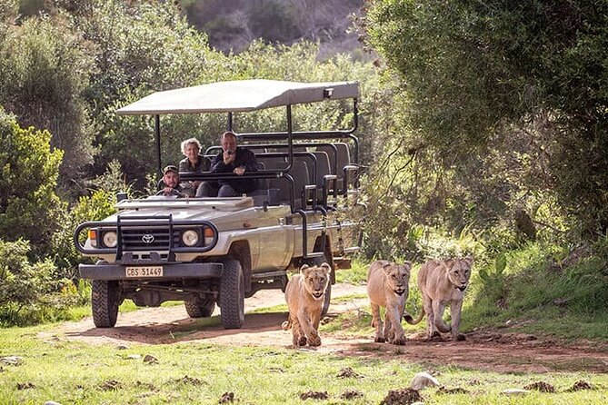 3 Days 2 Nights Garden Route Private Tour from Cape Town - Price and logistics: what makes this one worth it, and what to check