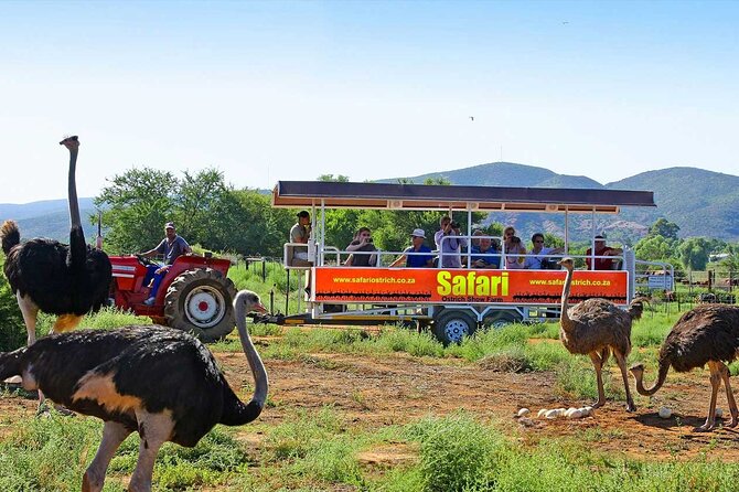 3 Days 2 Nights Garden Route Private Tour from Cape Town - Accommodation and meals: what is included, what you control