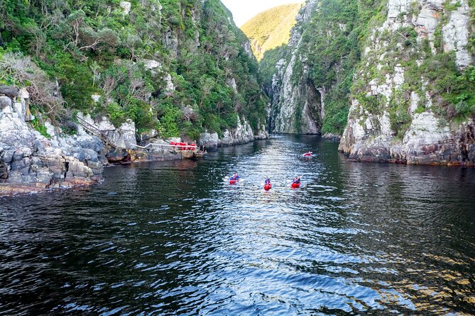 3 Days 2 Nights Garden Route Private Tour from Cape Town - Tour quality hinges on your guide, so verify what you value