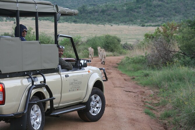3-Hour Private Game Drive of Pilanesberg National Park - Your Dedicated Guide: How the Best Sightings Happen