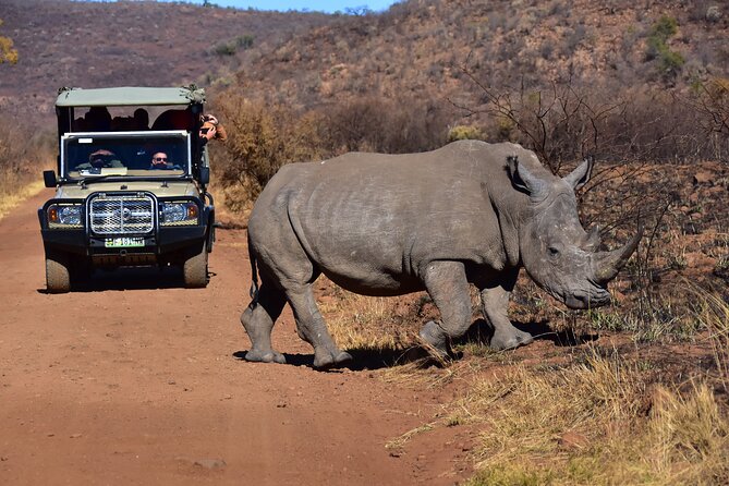 3-Hour Private Game Drive of Pilanesberg National Park - Big Five Tracking at Pilanesberg: What to Expect in the Real World