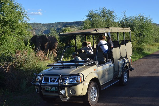3-Hour Private Game Drive of Pilanesberg National Park - Inside the 10-Seater Open Vehicle: Comfort and How to Use It