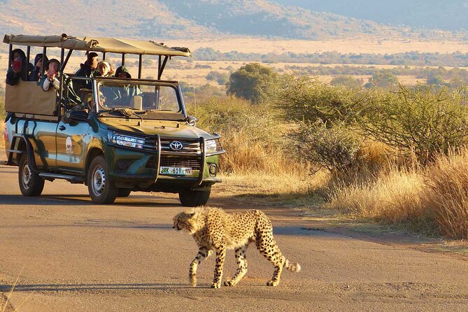 3-Hour Scheduled Safari Game Drive in Pilanesberg National Park - Open-Top Vehicle Viewing: Your Best Shot at Reading Wildlife
