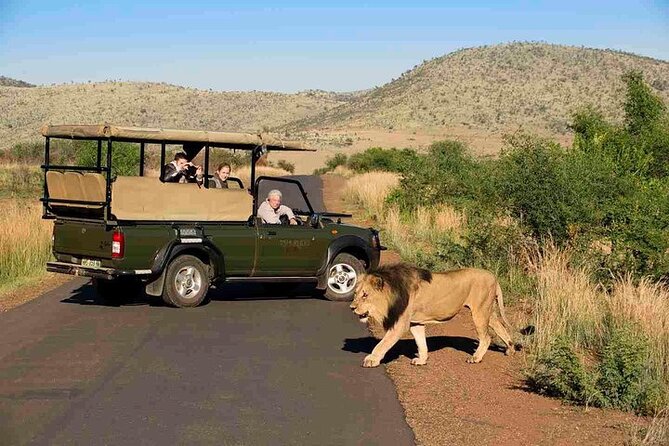 3-Hour Scheduled Safari Game Drive in Pilanesberg National Park - Price and Value: Is $54.80 Worth It?