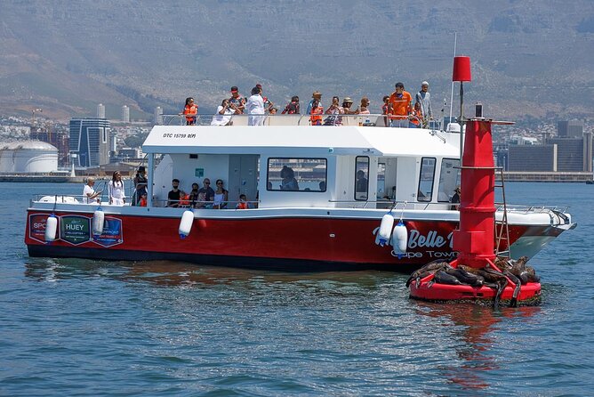 30min Harbour Boat Cruise Cape Town - Where you board, what to expect on the water, and how the timing works
