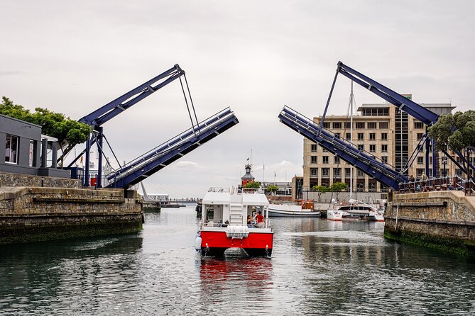 30min Harbour Boat Cruise Cape Town - Practical tips: where to sit, what to bring, and how to avoid the common headaches