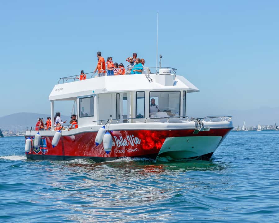30min V&A Waterfront Harbour Cruise Cape Town - Key Highlights You’ll Actually Feel on the Cruise