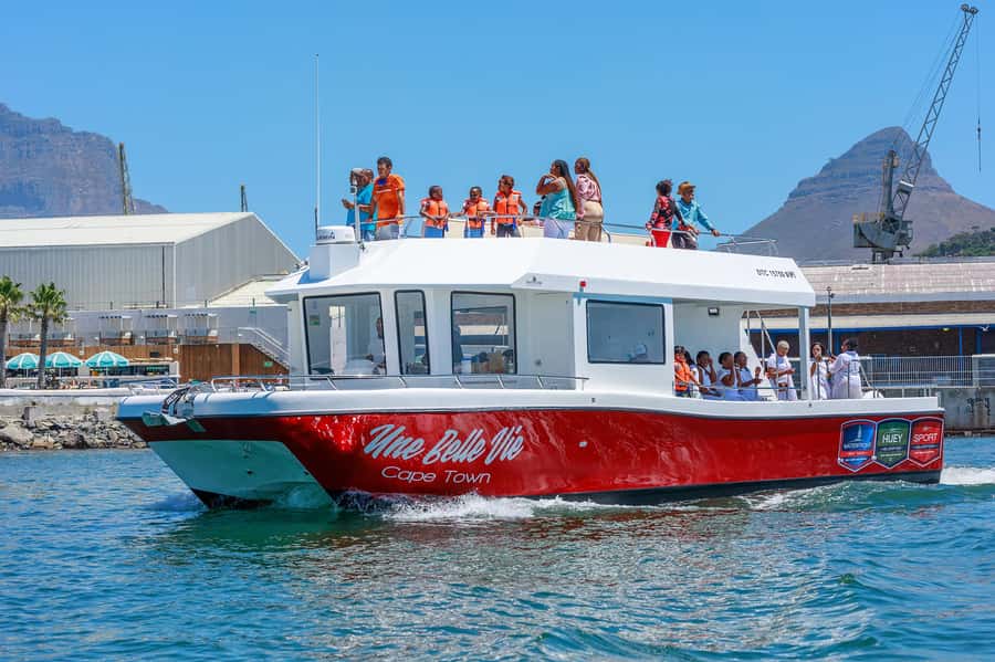 30min V&A Waterfront Harbour Cruise Cape Town - Price and Value: Why About $9 Works Here