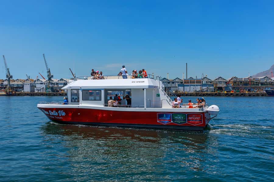 30min V&A Waterfront Harbour Cruise Cape Town - Who This Cruise Fits Best in Cape Town