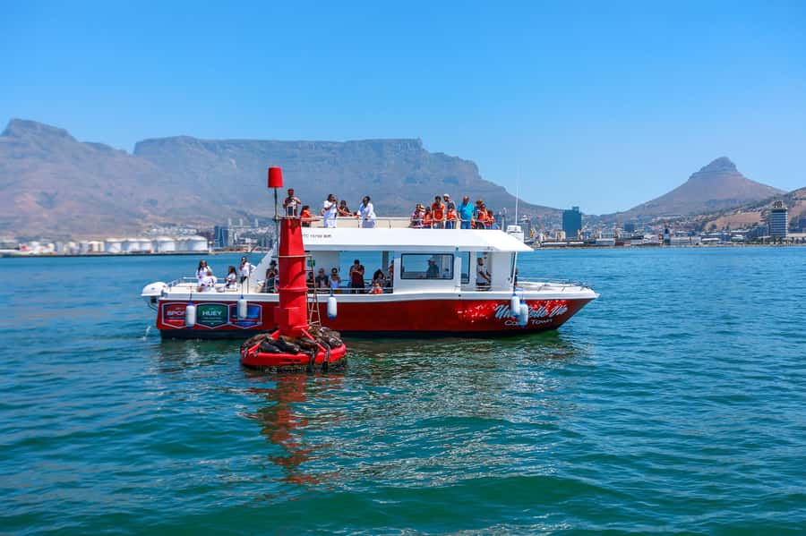 30min V&A Waterfront Harbour Cruise Cape Town - The 30-Minute Rhythm: What Happens From Boarding to Back Again