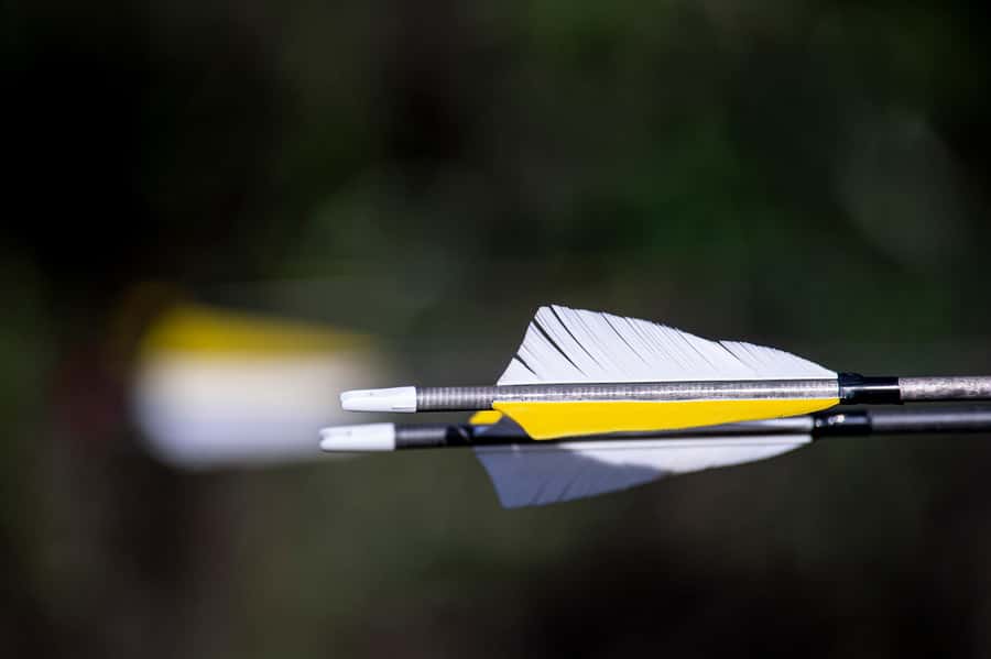 3D Archery Adventure - Plettenberg Bay - First Step at Old School Farm in Harkerville