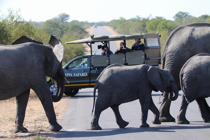 4 Day Classic Kruger National Park Safari - Key things to know before you go