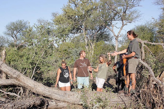 4 Day Classic Kruger National Park Safari - Big Five chances and real-world sightings