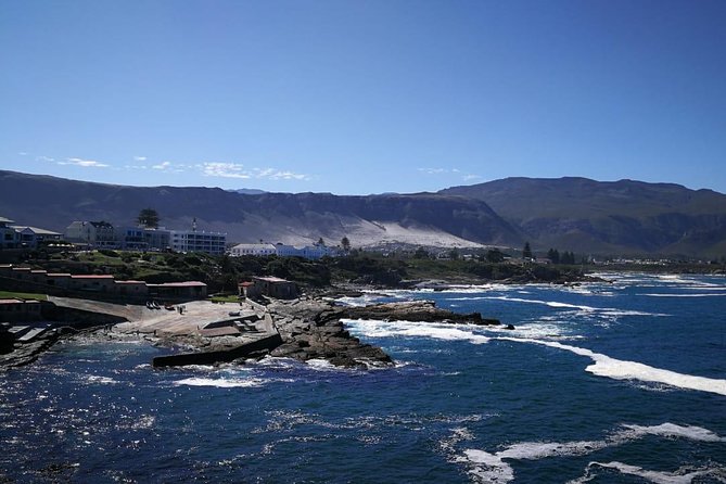 4 Day Garden Route Adventure & Safari - What the included meals and lodging really do for your trip