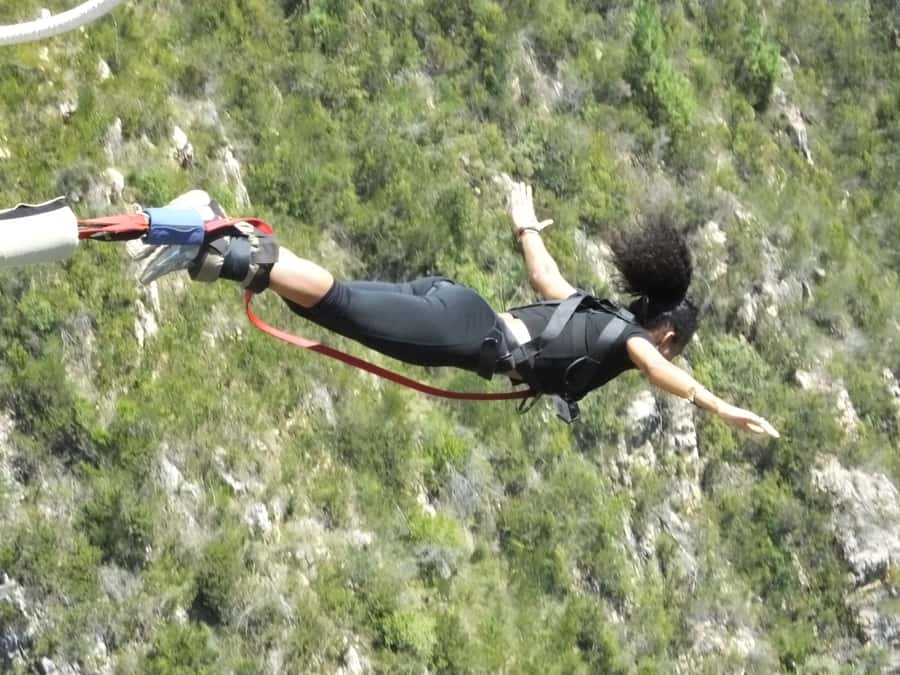 4-Day Garden Route Experience - When this Garden Route tour is the right fit