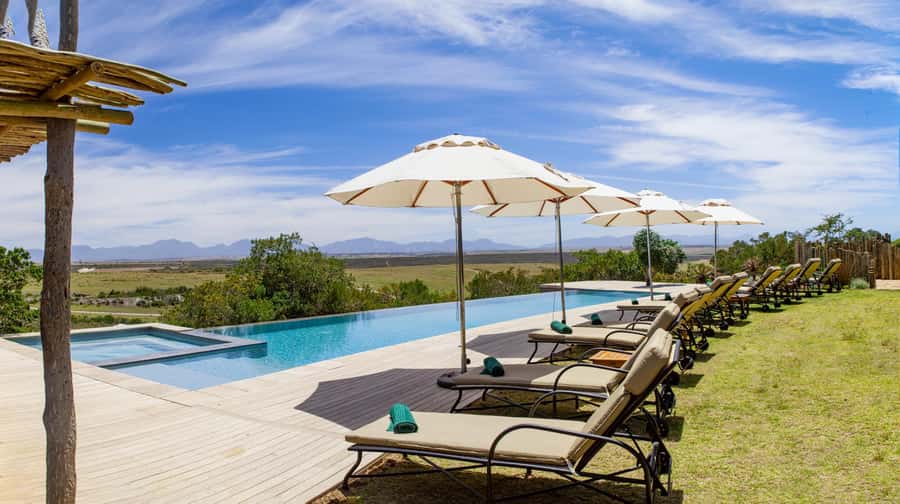 4-Day Garden Route Experience - Day 4 Early safari, Hermanus whale viewing in season, then penguins at Stony Point