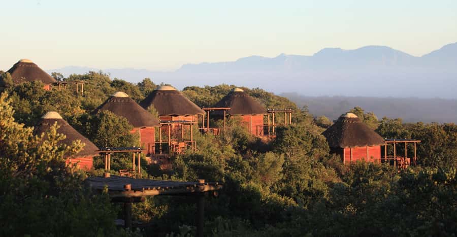 4-Day Garden Route Experience - Price and value: what you are really paying for at $701 per person