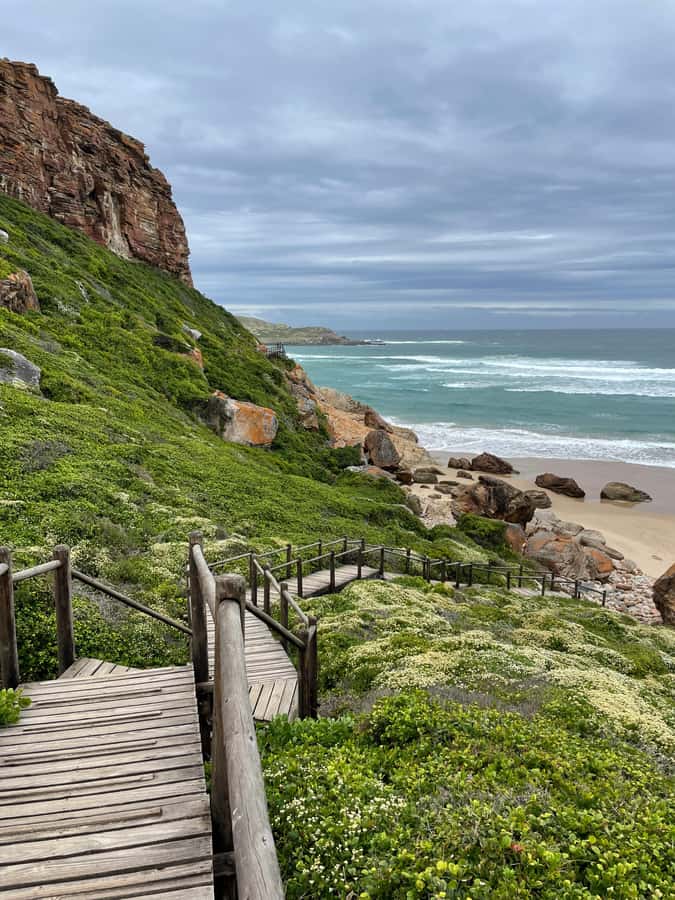 4-Day Garden Route Experience - The pace reality: lots of driving, tight timing, and group meals