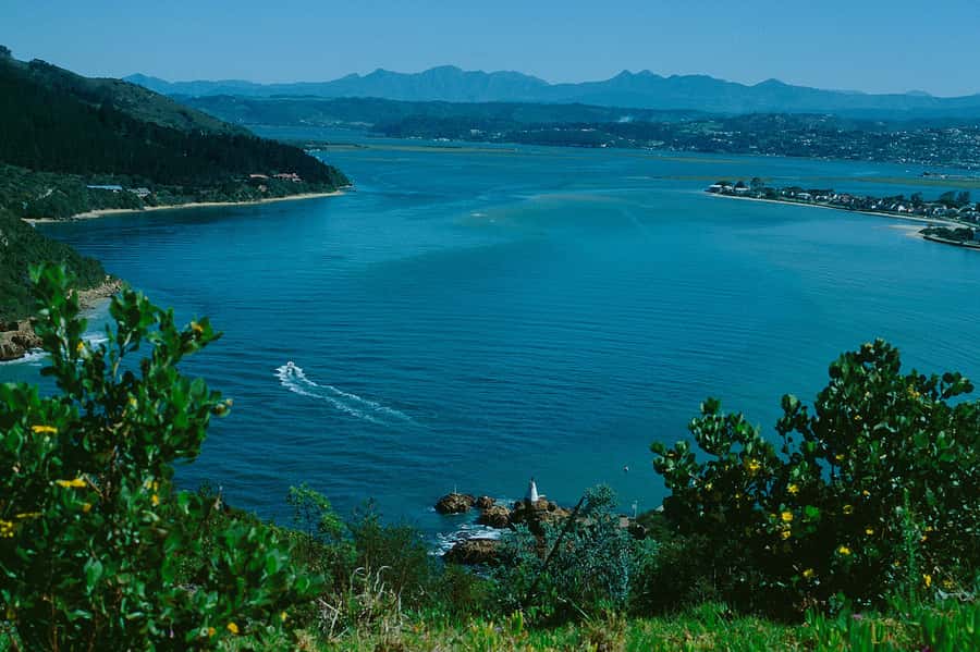4-Day Garden Route Experience - Day 1 Route 62, Overberg views, and Oudtshoorn’s Cango World
