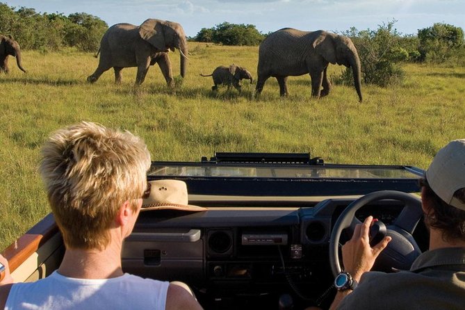 4 Day Garden Route Luxe Selection Micro Group Tour from Cape Town - Key highlights worth marking on your map