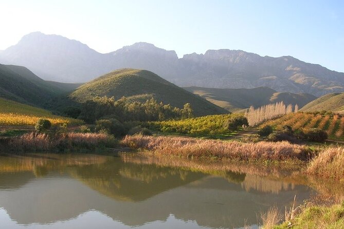 4 Day Garden Route Luxe Selection Micro Group Tour from Cape Town - Day 3: Wilderness National Park hike and a Karoo-to-Coast wildlife contrast at Buffelsdrift