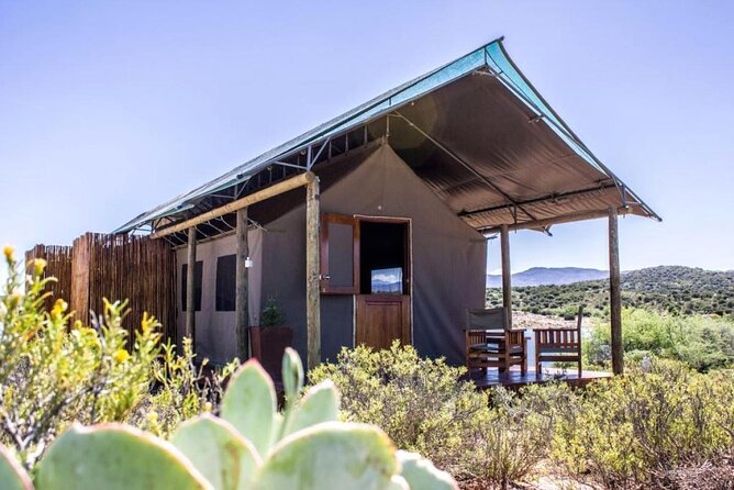 4 Day Garden Route Luxe Selection Micro Group Tour from Cape Town - Getting the most out of each day (without overdoing it)