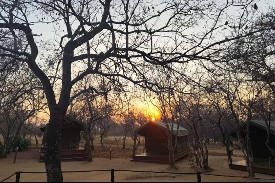 4 Day Kruger Glamping Budget Adventure - Day 1: arriving, relaxing, then rolling straight into a Big Five sunset drive