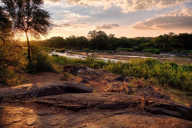 4 Day Lodge and Treehouse Kruger National Park Safari - Kruger National Park from Orpen Gate in an open-sided Gameviewer