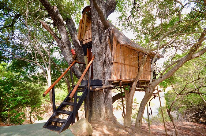 4 Day Lodge and Treehouse Kruger National Park Safari - Sunrise bush walk in Balule, then off to Marc’s Treehouse