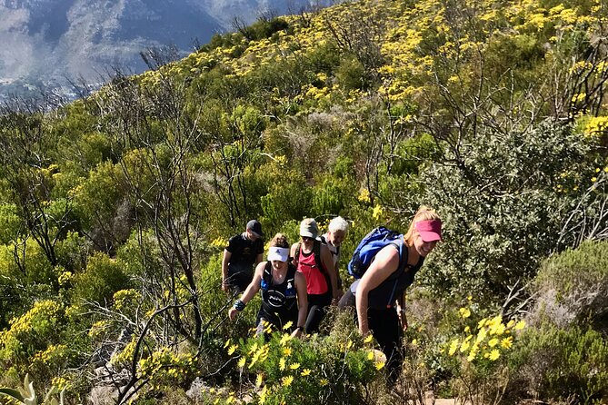 4 Day Table Mountain 13 Peaks Challenge - Starting at Signal Hill at 6:00 am: Why the Early Time Works