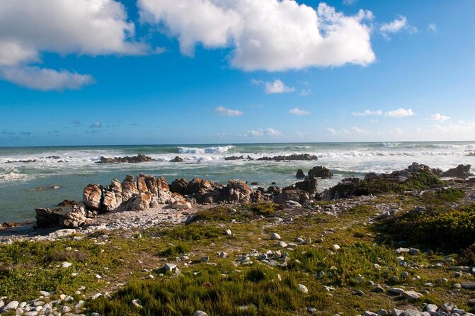 5 Day Cape to Addo Safari - Garden Route Small Group Tour - Key points before you go