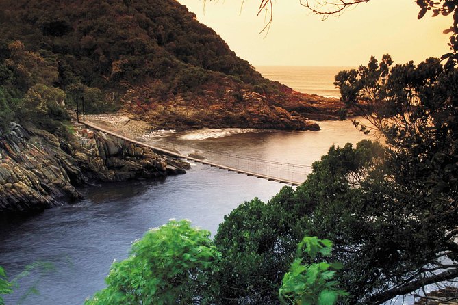 5 Day Cape to Addo Safari - Garden Route Small Group Tour - Addo Elephant National Park morning game drive and Knysna Heads photos