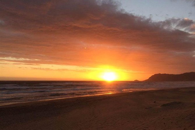 5 Day Cape to Addo Safari - Garden Route Small Group Tour - Who this tour suits best, and who might want a different pace