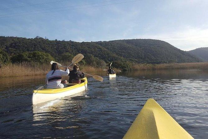 5 Day Cape to Addo Safari - Garden Route Small Group Tour - Should you book the 5 Day Cape to Addo Safari?