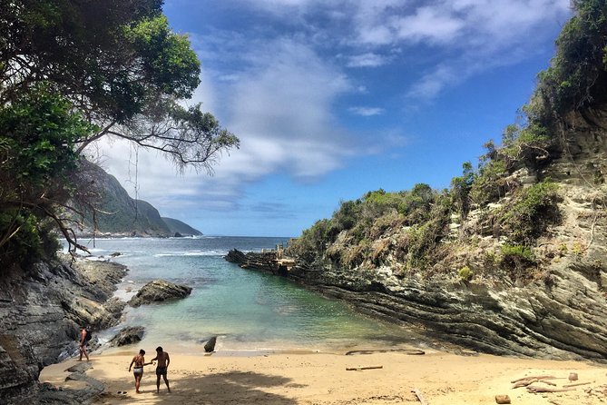 5-Day Garden Route & Addo Adventure from Cape Town to Port Elizabeth - Agulhas National Park and Stony Point penguins: the southernmost day one hit