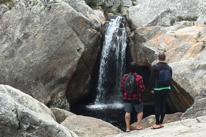 5-Day Garden Route & Addo Adventure from Cape Town to Port Elizabeth - Wilderness National Park canoes up the Touw River, then a boardwalk hike