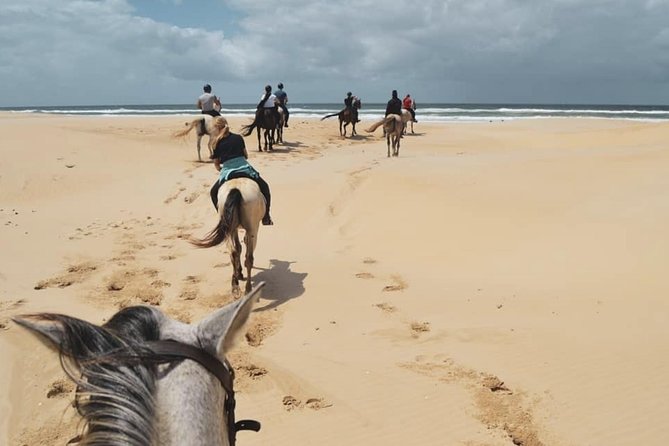 5 Day Garden Route and Addo Safari - Best of South Africa Small Group Tour - Day 4: Tsitsikamma suspension bridge walk, Bloukrans bungy, and Knysna Heads photos