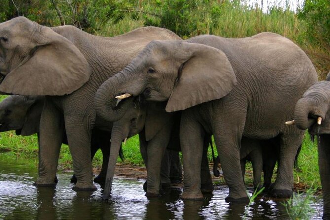 5 Day Garden Route Small Group Tour Fr CapeTown - Departs Mondays - The big picture: a focused Garden Route road trip, not a rushed highlights reel