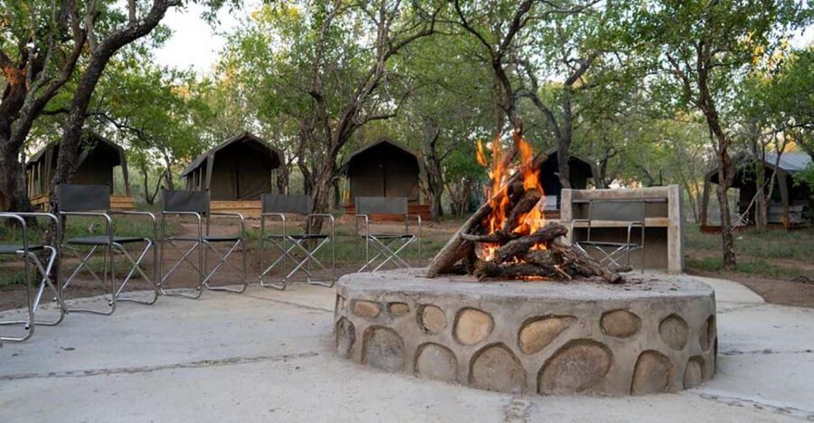 5 Day Kruger Glamping Budget Adventure - First Day Arrival, Fast Transfer, and a Real Safari Start