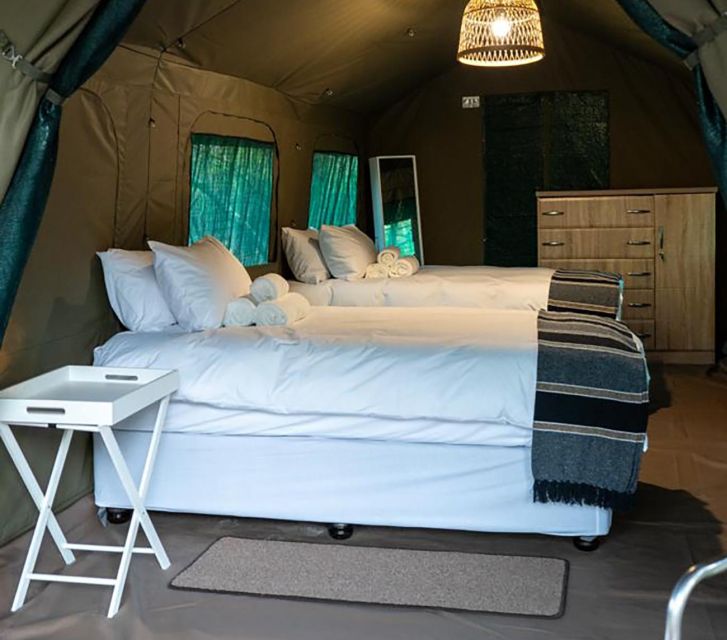 5 Day Kruger Glamping Budget Adventure - Private Reserve Afternoon Drive: Why Day 1 Feels Like Winning