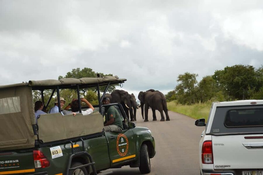 5 Day Kruger Glamping Budget Adventure - Food, Firelight Dinners, and What “Budget-Friendly” Actually Buys