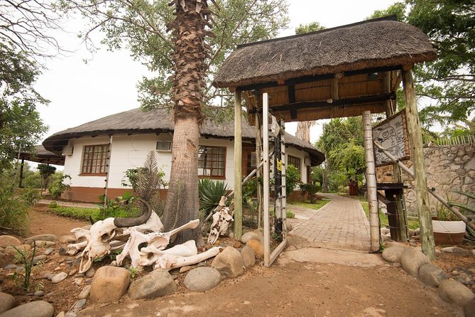 6 Day Classic Kruger National Park Safari from Johannesburg - The Olifants River bush walk, close-up and very real